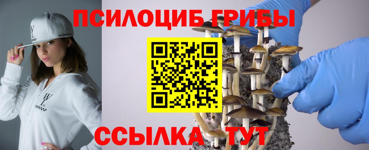 Галлюциногенные грибы Psilocybe Урай
