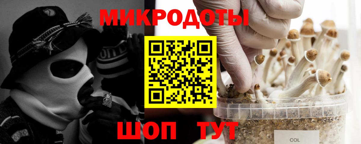 Урай  Галлюциногенные грибы Psilocybe  Вход с VPN 
